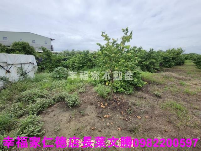 台南山上農地-3