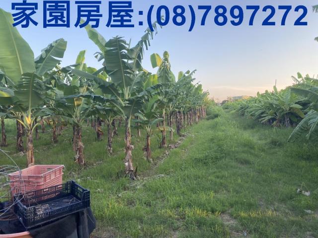 潮州農地-2