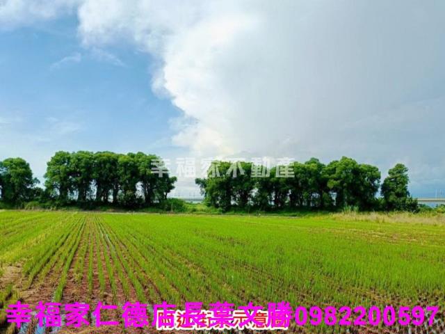 新營農地-13