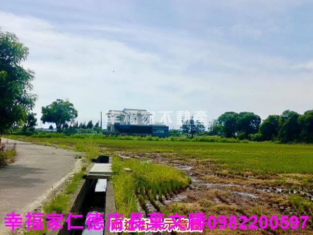 新營農地-15