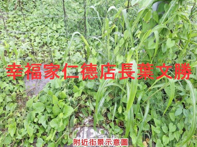 善化建地-5