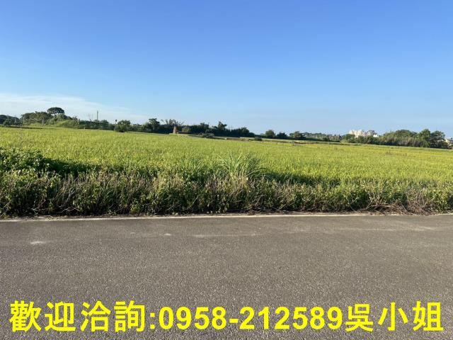 湖口農地-1