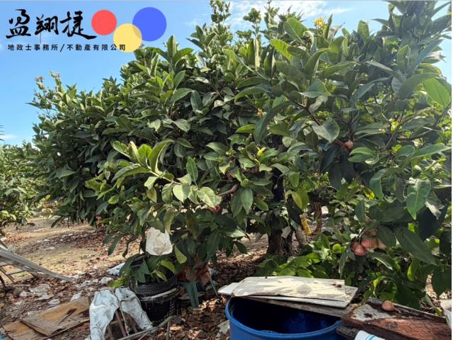 屏東農地-1