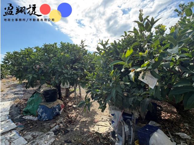 屏東農地-4