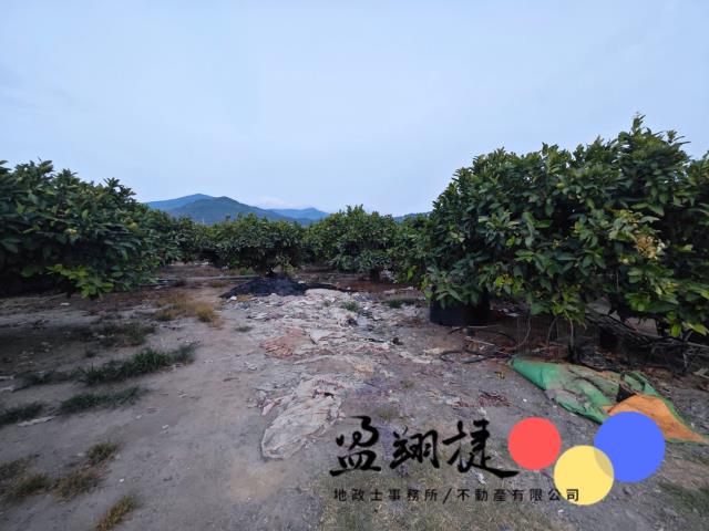 屏東農地-7