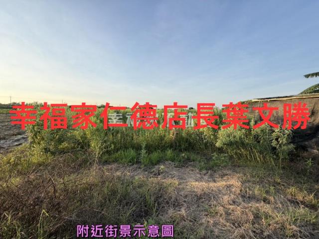 台南農地-8