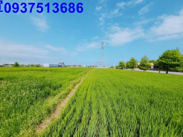 宜蘭宜蘭市農地-9