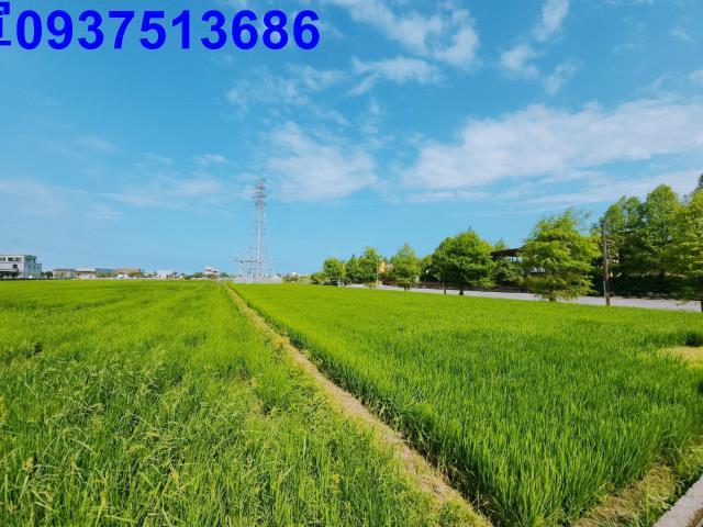 宜蘭宜蘭市農地-13