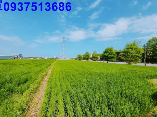 宜蘭宜蘭市農地-3
