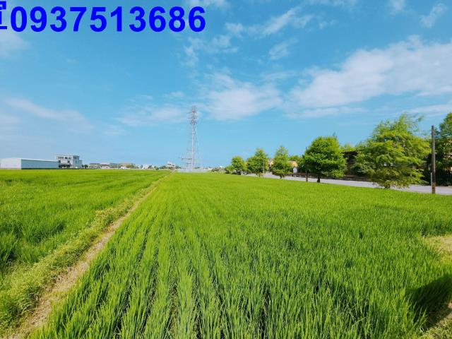 宜蘭宜蘭市農地-8