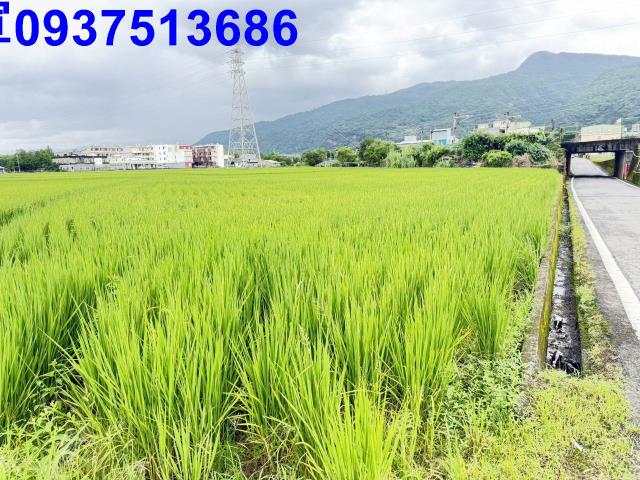 宜蘭頭城農地-3
