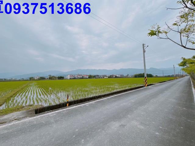 宜蘭礁溪農地-12