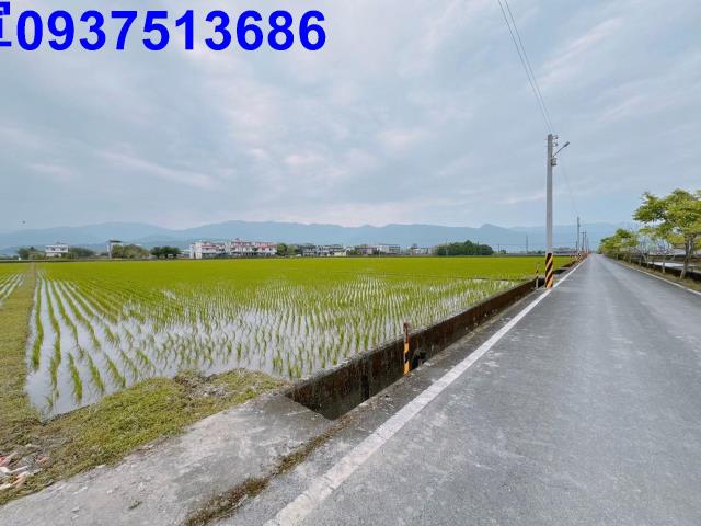 宜蘭礁溪農地-2