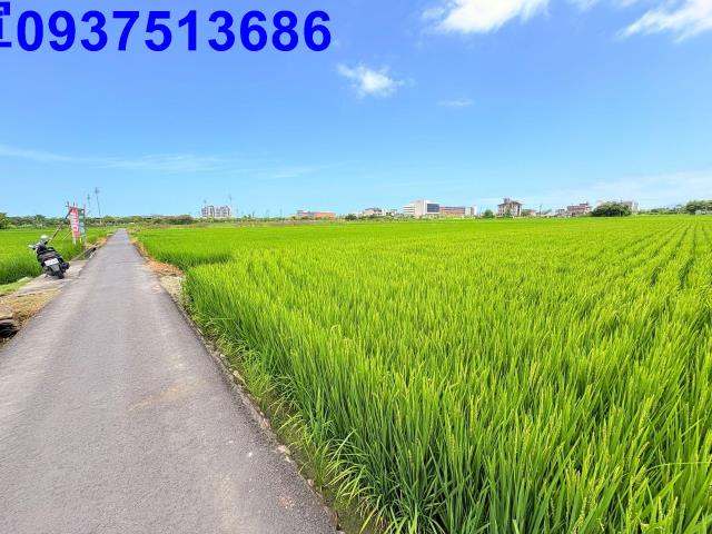 宜蘭宜蘭市農地-0