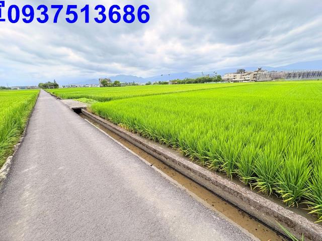宜蘭宜蘭市農地-3