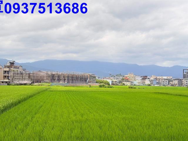 宜蘭宜蘭市農地-7