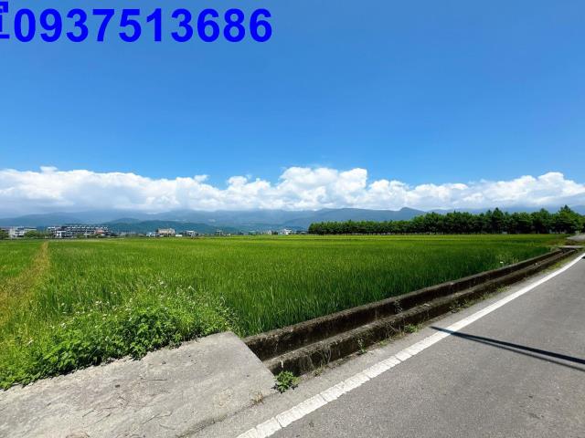 宜蘭礁溪農地-14