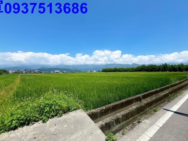 宜蘭礁溪農地-1