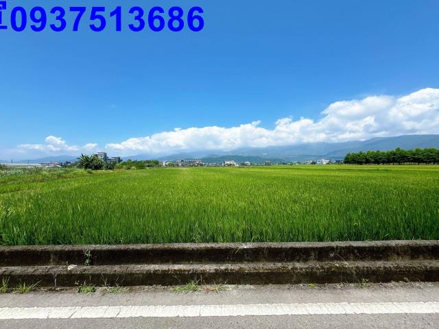 宜蘭礁溪農地-2