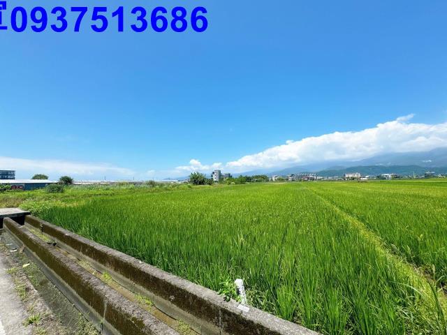 宜蘭礁溪農地-4