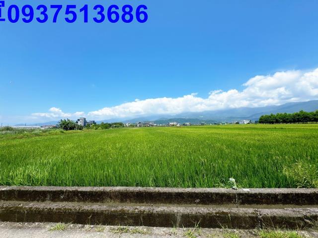 宜蘭礁溪農地-6