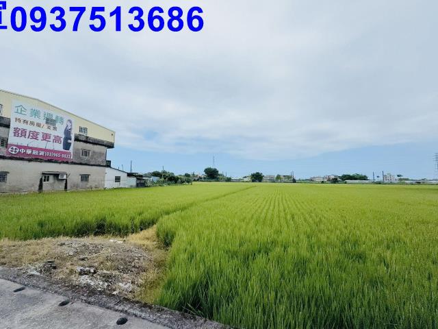 宜蘭宜蘭市農地-5