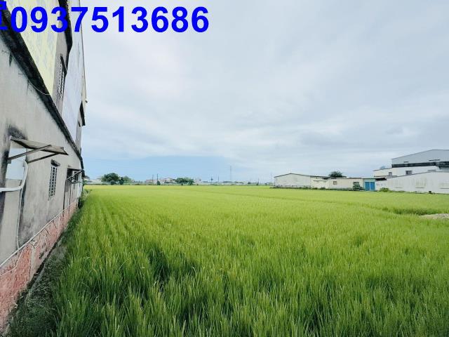 宜蘭宜蘭市農地-8