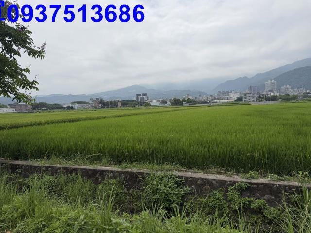 宜蘭礁溪農地-11