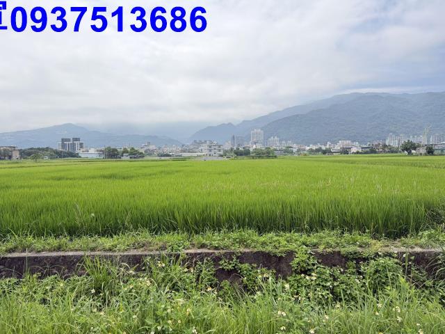 宜蘭礁溪農地-0