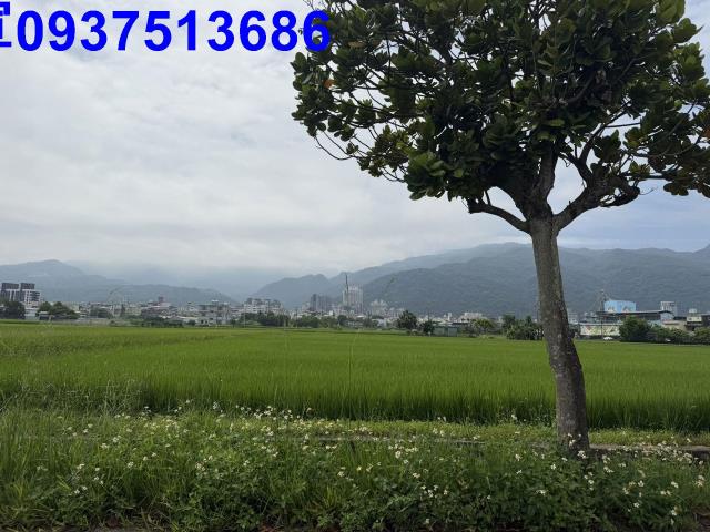 宜蘭礁溪農地-3