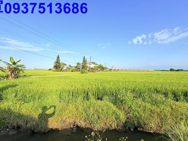 宜蘭市農地-0
