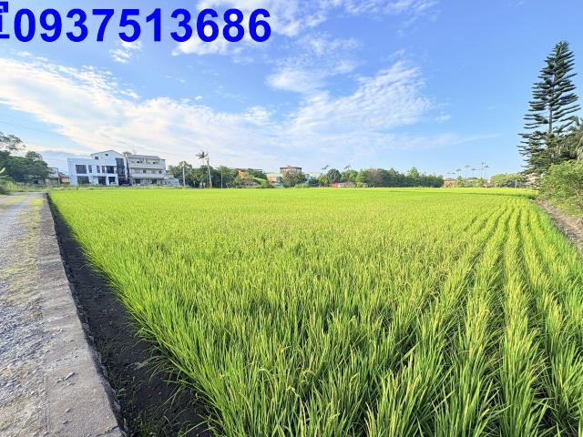 宜蘭市農地-2