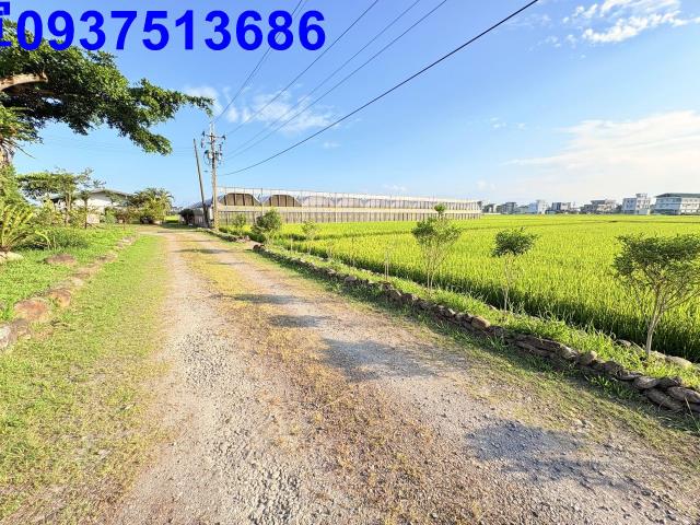 宜蘭市農地-7