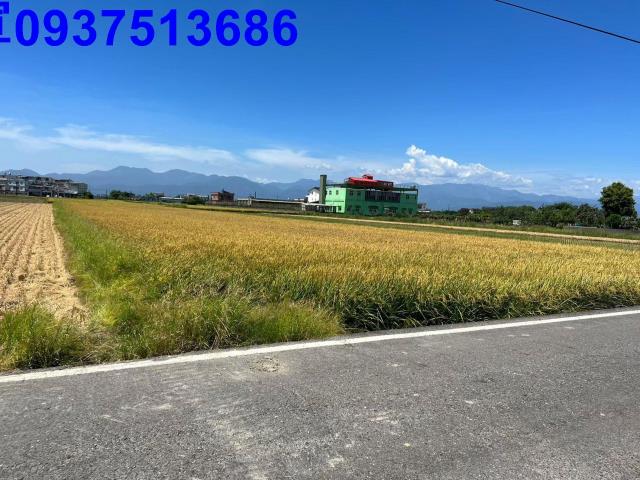 壯圍農地-3
