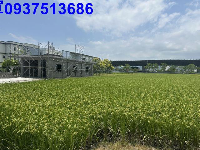 礁溪農地-14