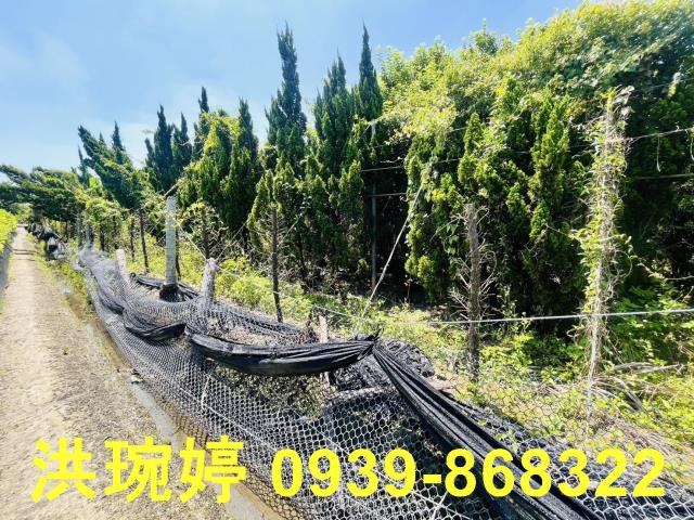 埔心農地-6