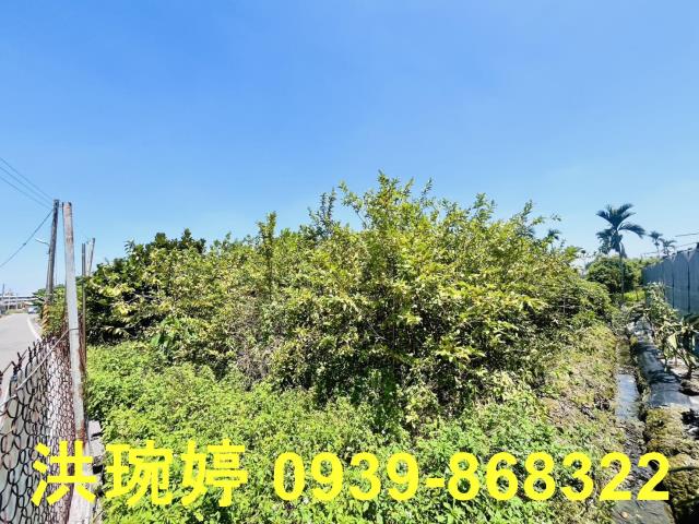 埔心農地-2