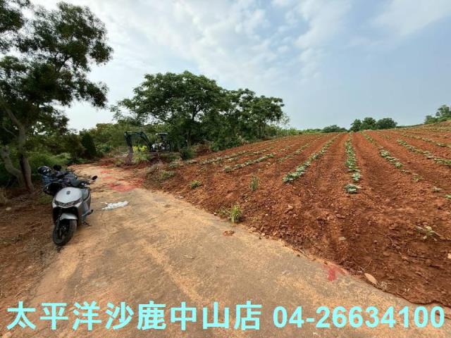 沙鹿保護地-1