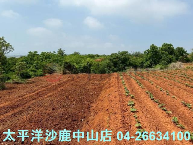 沙鹿保護地-4