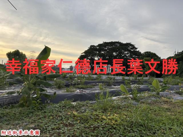 台南農地-7