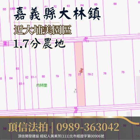 嘉義大林農地法拍-4