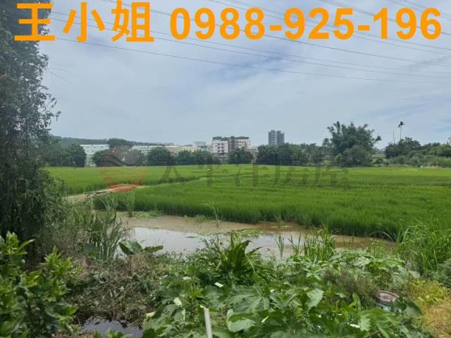 桃園楊梅農地_建地-11