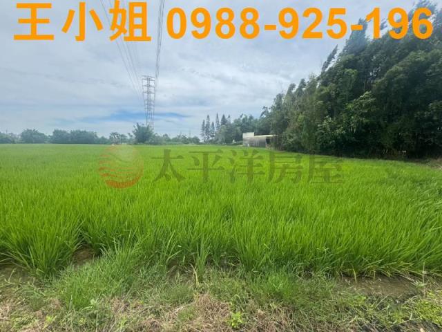 桃園楊梅農地_建地-12