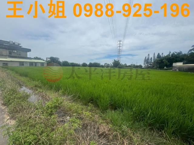 桃園楊梅農地_建地-13