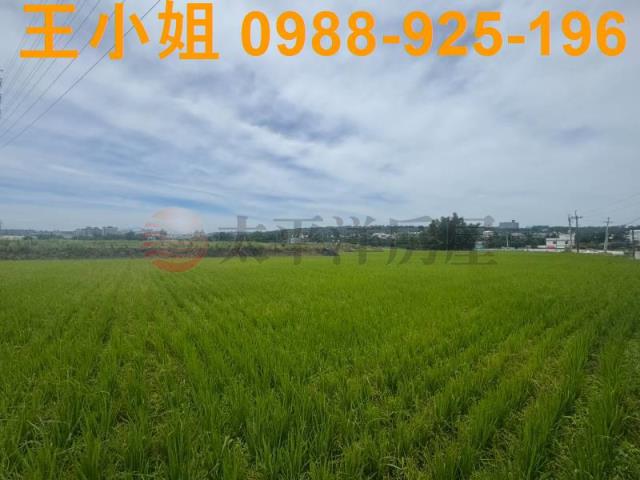 桃園楊梅農地_建地-14