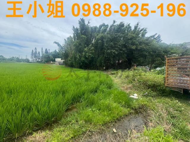 桃園楊梅農地_建地-5