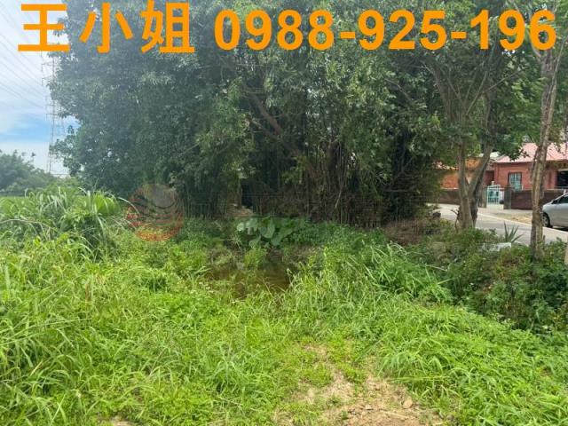 桃園楊梅農地_建地-6