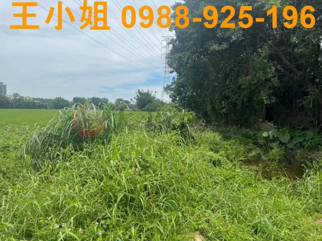 桃園楊梅農地_建地-8