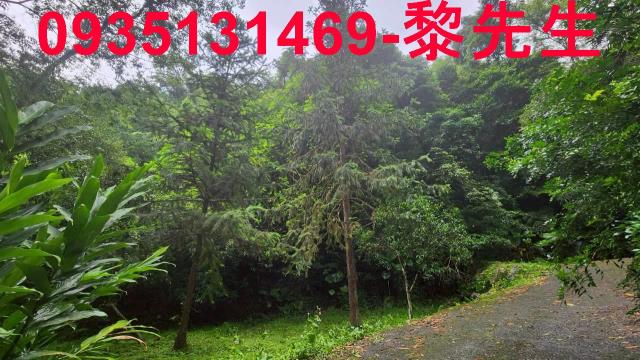 新竹橫山林地-2