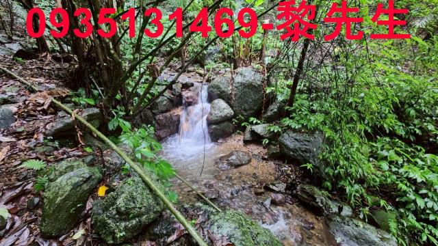 新竹橫山林地-3
